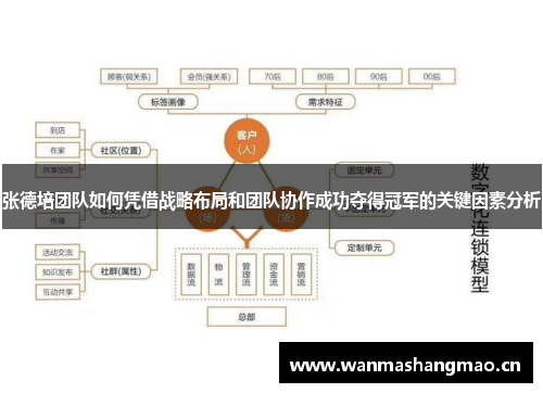 张德培团队如何凭借战略布局和团队协作成功夺得冠军的关键因素分析 张德培团队如何凭借战略布局和团队协作成功夺得冠军的关键因素分析